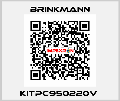 KITPC950220V  Brinkmann