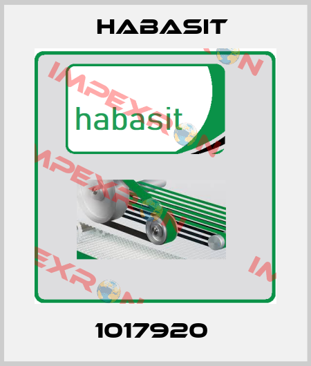 1017920  Habasit