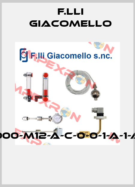 LVC/S-3-1000-M12-A-C-0-0-1-A-1-A-1-0-0-0-0  F.lli Giacomello