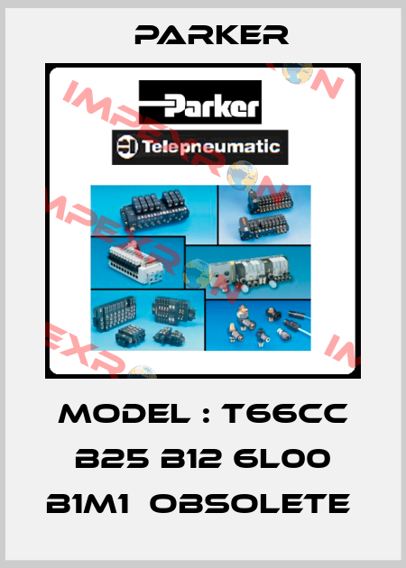 Model : T66CC B25 B12 6L00 B1M1  OBSOLETE  Parker
