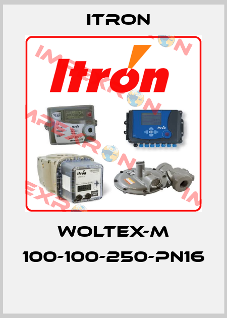 WOLTEX-M 100-100-250-PN16  Itron