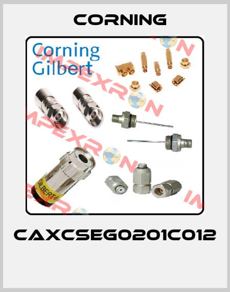 CAXCSEG0201C012   Corning