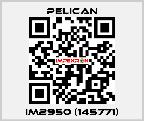 iM2950 (145771) Pelican