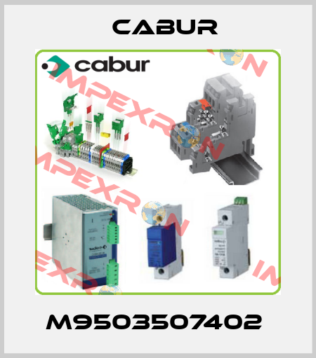 M9503507402  Cabur