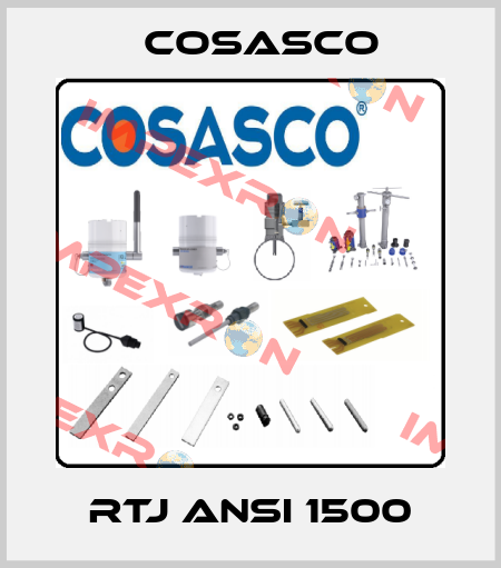 RTJ ANSI 1500 Cosasco