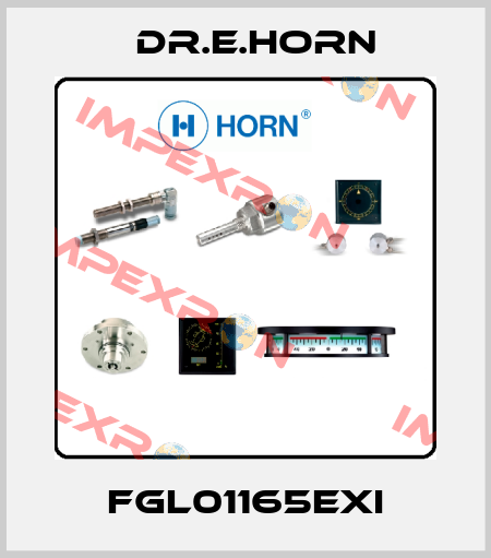 FGL01165Exi Dr.E.Horn