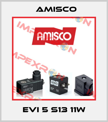 EVI 5 S13 11W Amisco