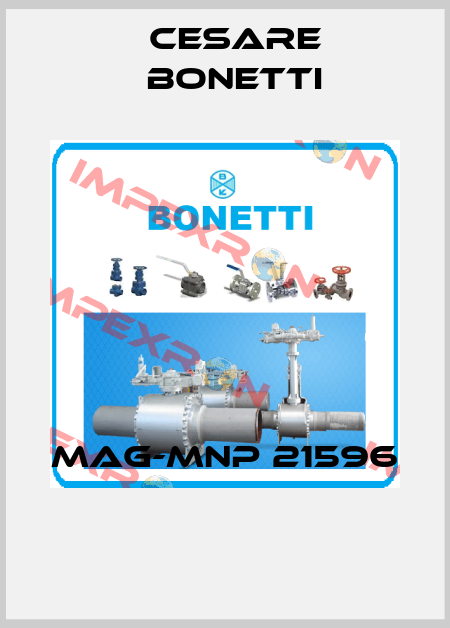 MAG-MNP 21596  Cesare Bonetti