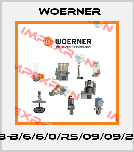 VPB-B/6/6/0/RS/09/09/20/V Woerner