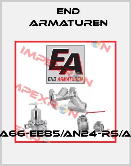 ZA66-EE85/AN24-RS/AX End Armaturen