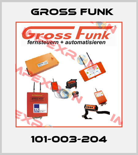 101-003-204 Gross Funk