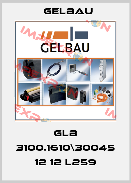 GLB 3100.1610\30045 12 12 L259 Gelbau