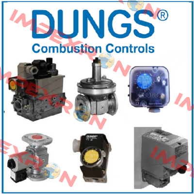 NO. 1611 900 X IP54 AC 230V  Dungs