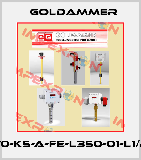 NTR-70-K5-A-FE-L350-01-L1/230/S Goldammer