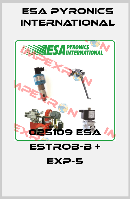 025109 ESA ESTROB-B + EXP-5 ESA Pyronics International