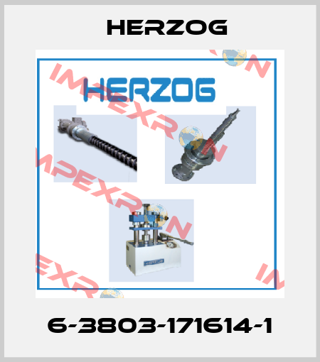 6-3803-171614-1 Herzog