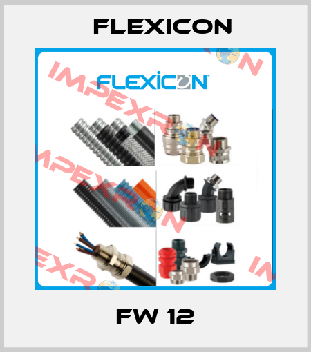FW 12 Flexicon