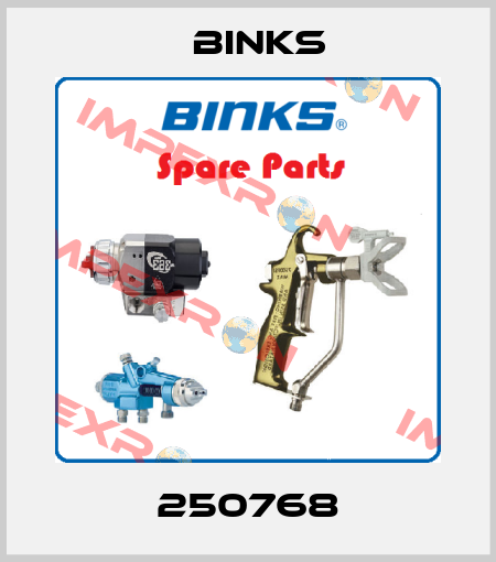 250768 Binks