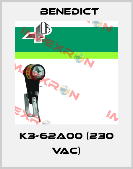K3-62A00 (230 VAC) Benedict