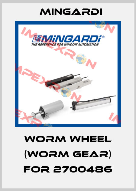 worm wheel (worm gear) for 2700486 Mingardi