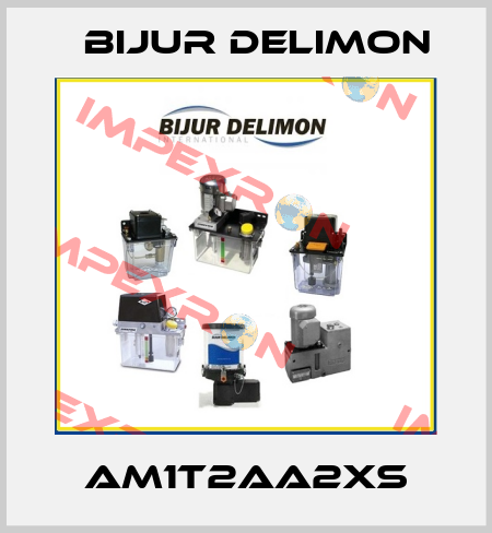 AM1T2AA2XS Bijur Delimon