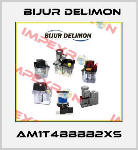 AM1T4BBBB2XS Bijur Delimon