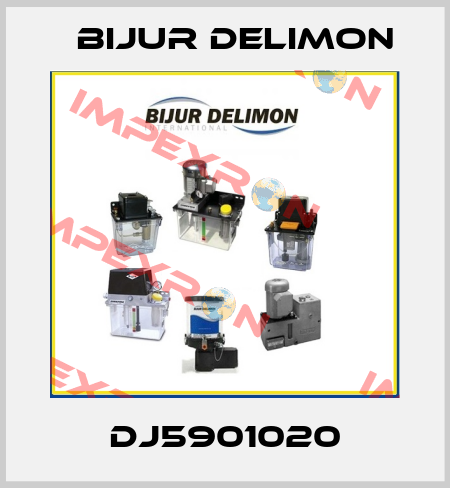 DJ5901020 Bijur Delimon