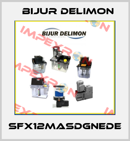 SFX12MASDGNEDE Bijur Delimon