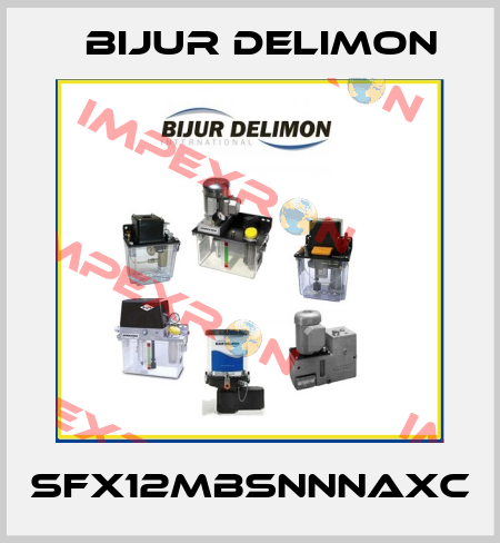 SFX12MBSNNNAXC Bijur Delimon