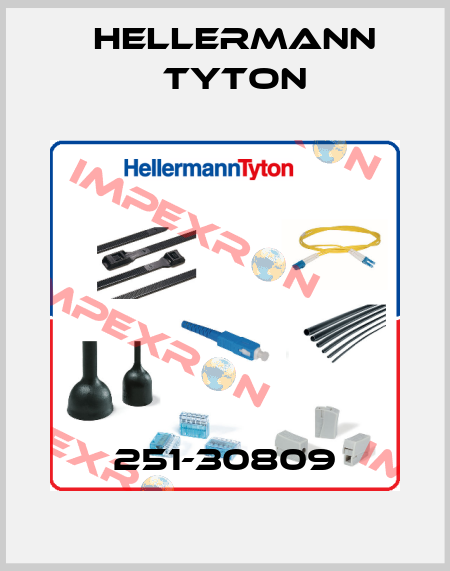251-30809 Hellermann Tyton