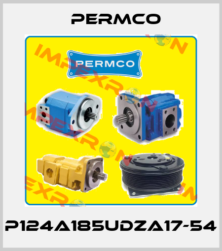 P124A185UDZA17-54 Permco