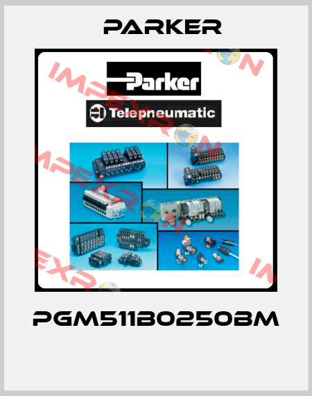 PGM511B0250BM  Parker