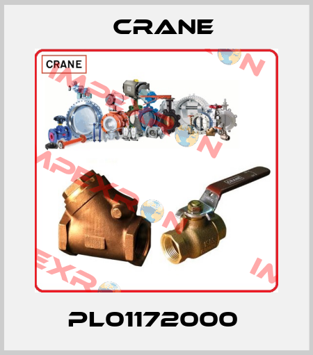 PL01172000  Crane