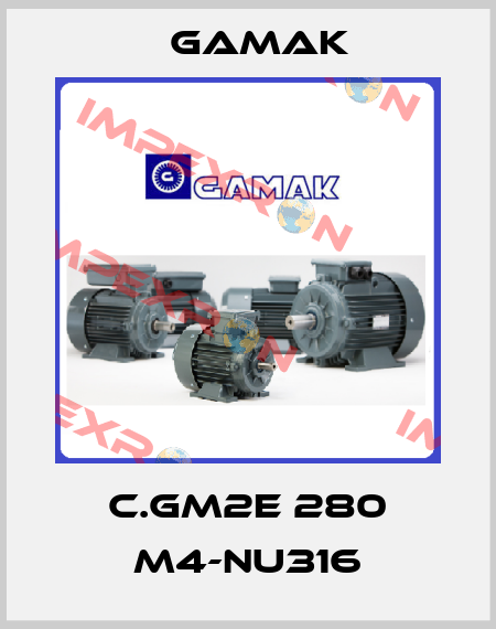 C.GM2E 280 M4-NU316 Gamak