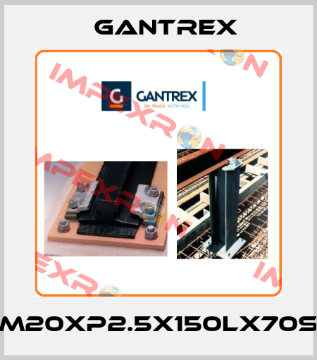 M20xP2.5x150Lx70S Gantrex