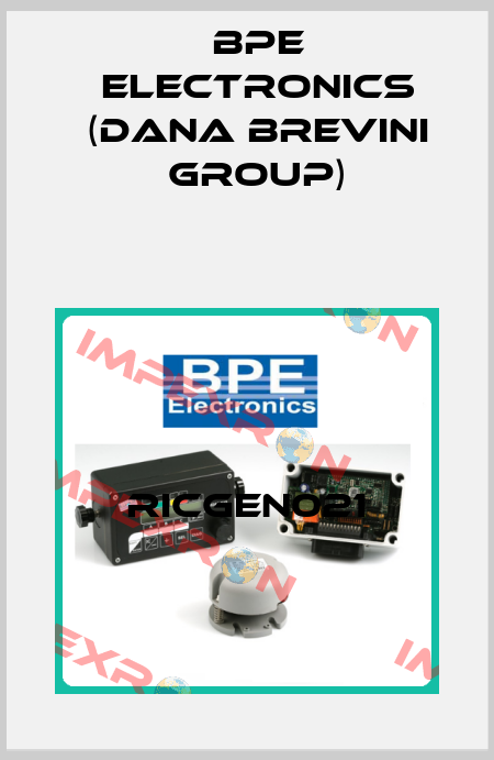 RICGEN021 BPE Electronics (Dana Brevini Group)