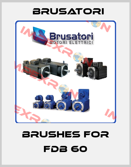 Brushes for FDB 60 Brusatori
