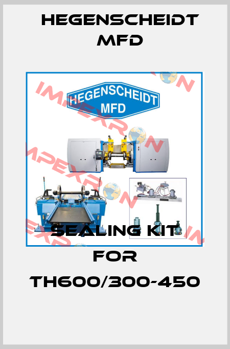 Sealing Kit for TH600/300-450 Hegenscheidt MFD