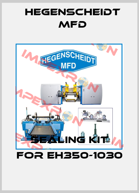 Sealing Kit for EH350-1030 Hegenscheidt MFD