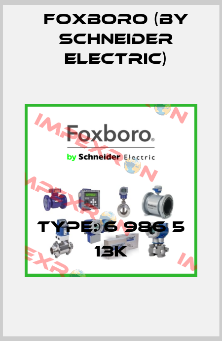 Type: 6 986 5 13K Foxboro (by Schneider Electric)