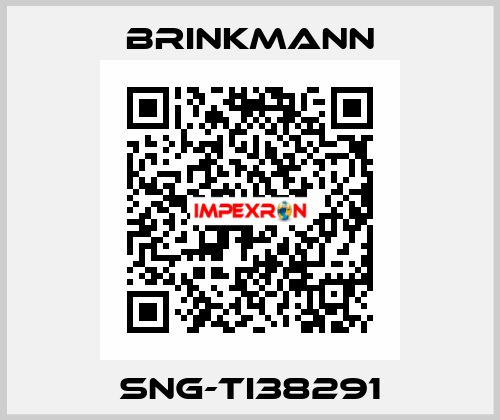 SNG-TI38291 Brinkmann