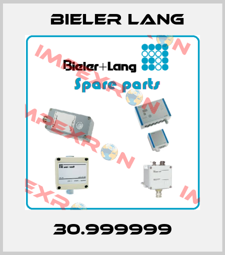 30.999999 Bieler Lang