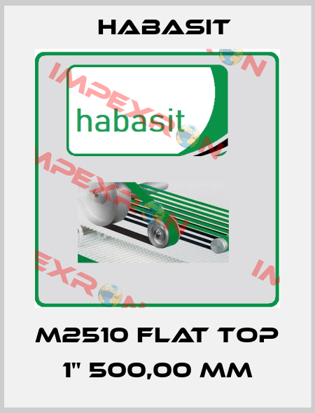 M2510 Flat Top 1" 500,00 mm Habasit