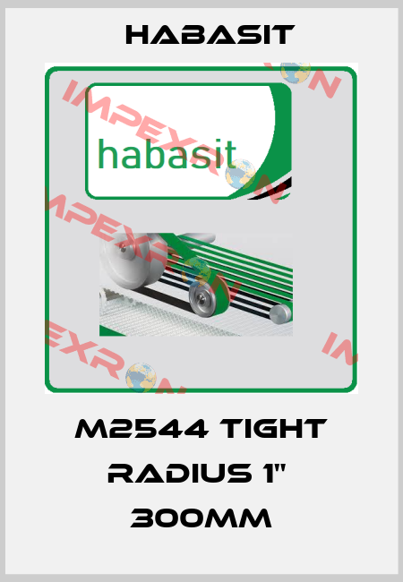 M2544 Tight Radius 1"  300mm Habasit