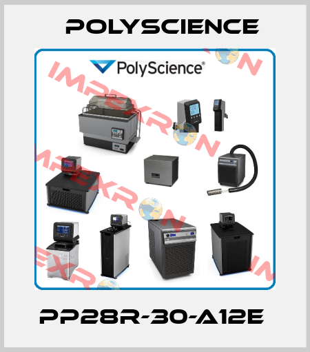 PP28R-30-A12E  Polyscience