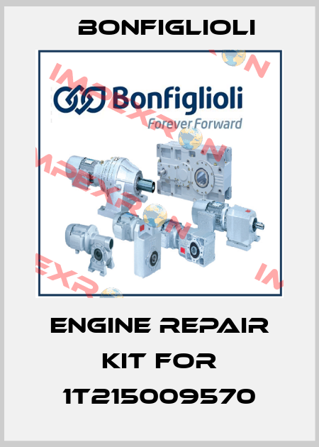 Engine repair kit for 1T215009570 Bonfiglioli