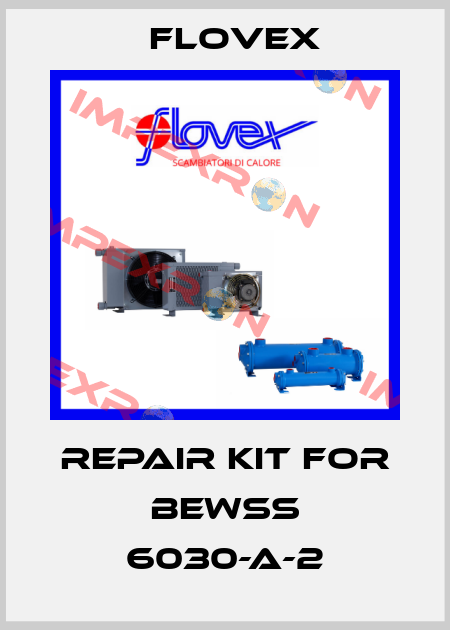 Repair kit for BEWSS 6030-A-2 Flovex