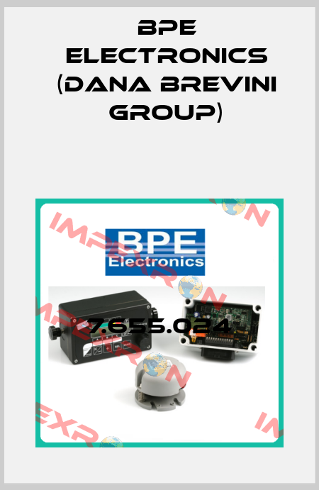 7.655.024 BPE Electronics (Dana Brevini Group)