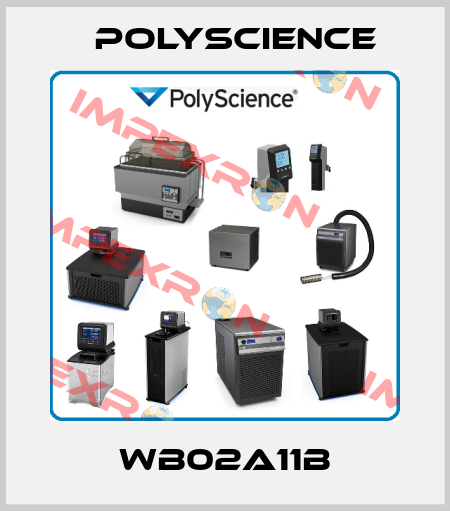 WB02A11B Polyscience
