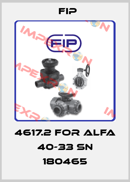 4617.2 for Alfa 40-33 SN 180465 Fip